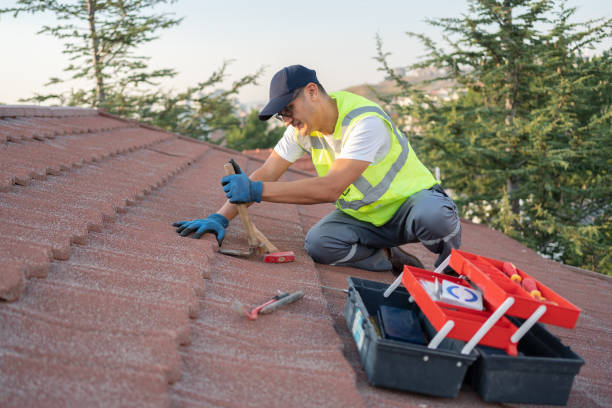 Professional Roofing Contractor in Oak Park, CA